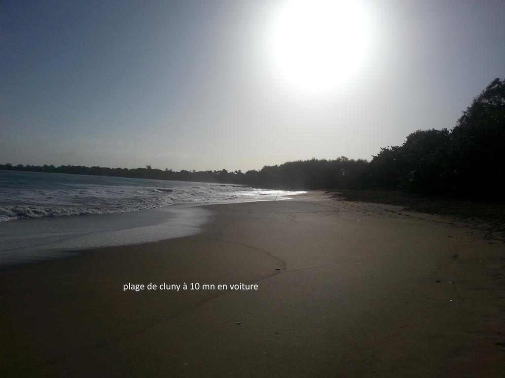 סנט-רוז L'Ecomusee Creole De La Guadeloupe מראה חיצוני תמונה